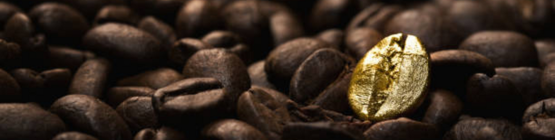 Qu'entend-t-on par Café Grand Cru ?
