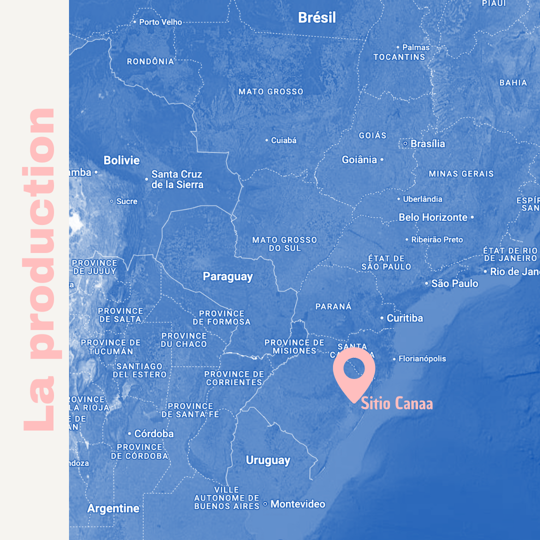 BRAZIL Joao Hamilton Sítio Canaa – Café espresso