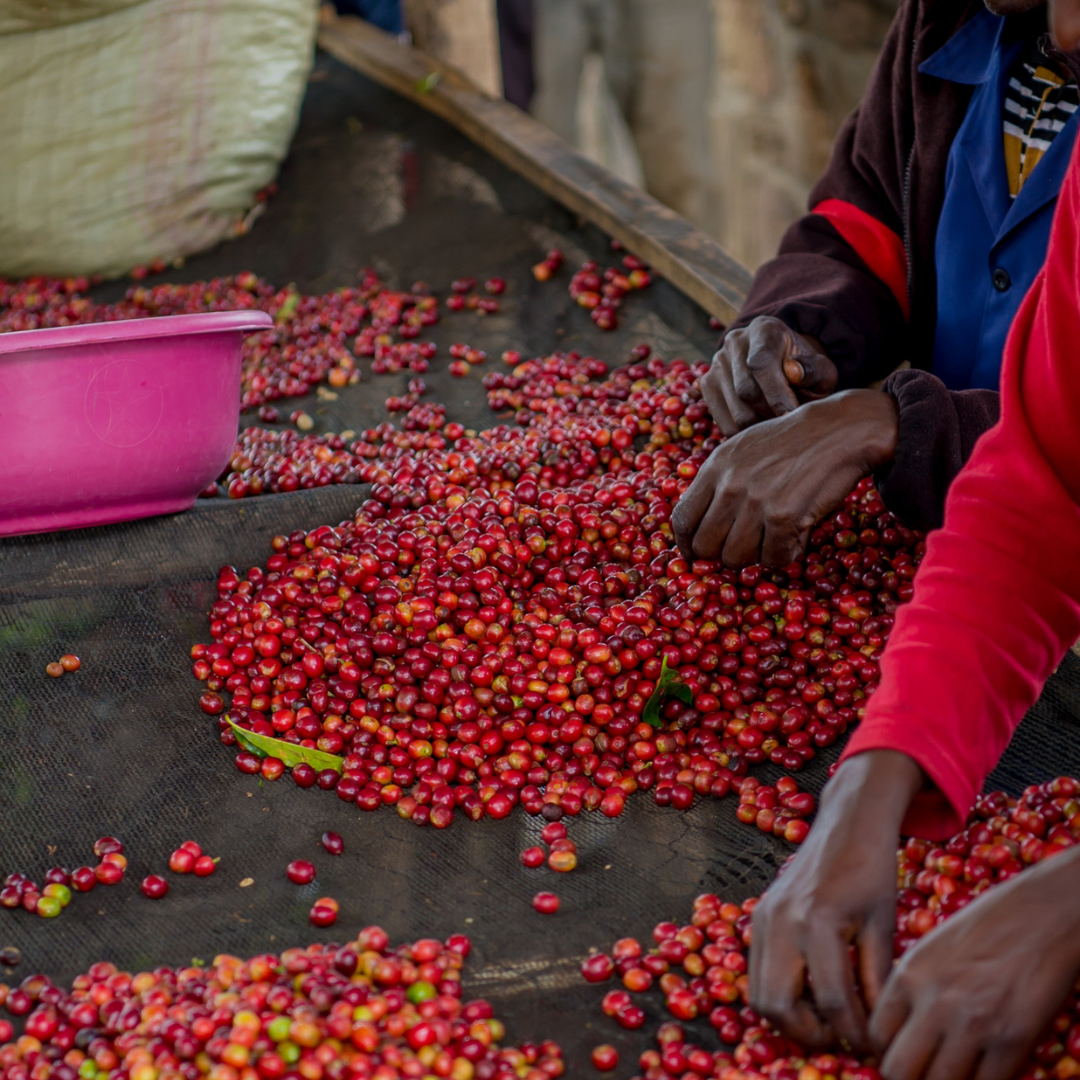 Nyamiyaga, Rwanda - filtre