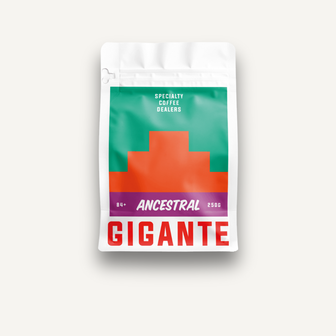 El Ancestral, Éthiopie - espresso & filtre