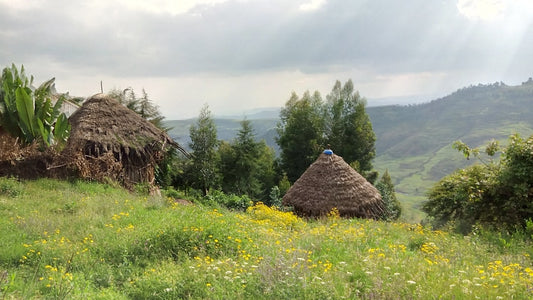 a couple of straw huts in a field of flowers