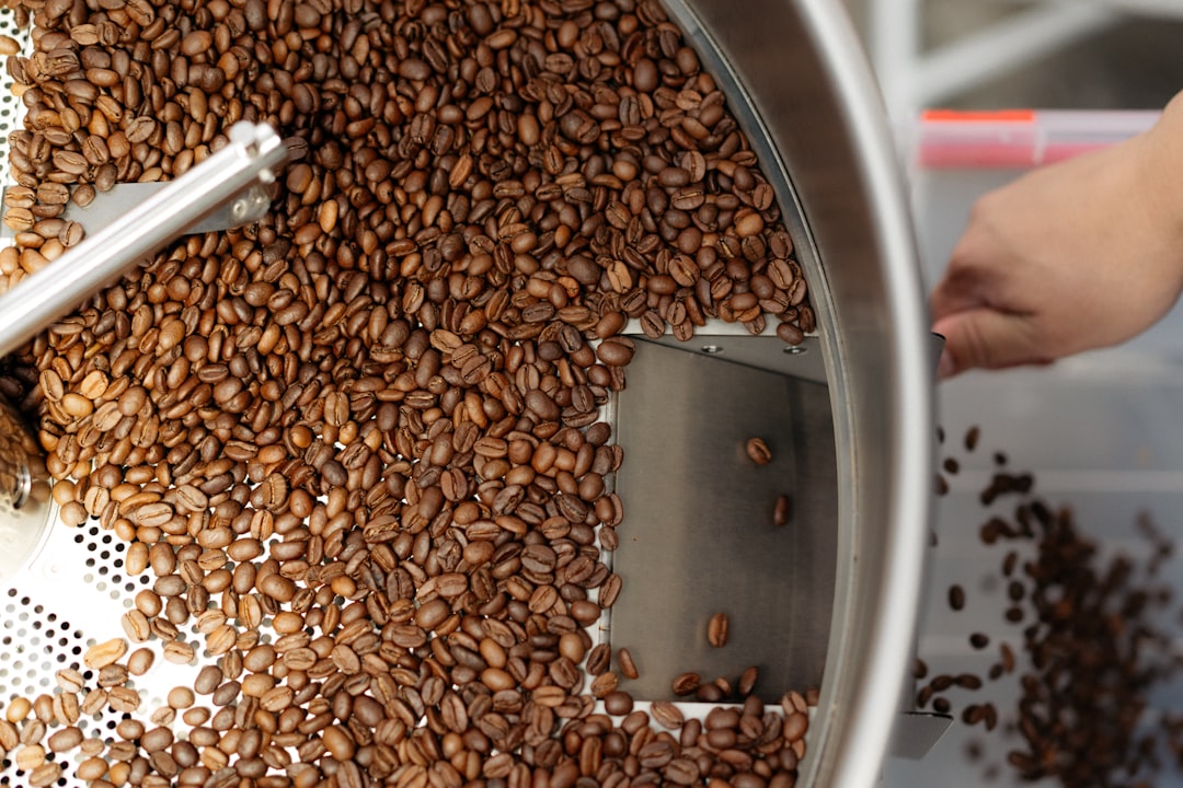 Roasted coffee beans tumbling in a large machine.