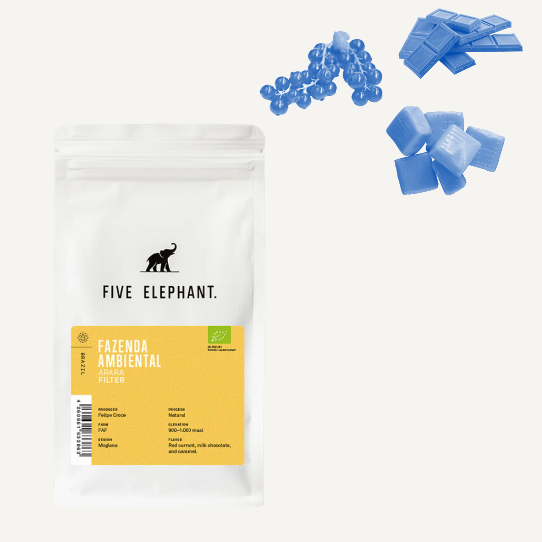 BRAZIL Fazenda Ambiental Fortaleza Organic – Café filtre