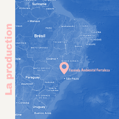 BRAZIL Fazenda Ambiental Fortaleza Organic – Café filtre