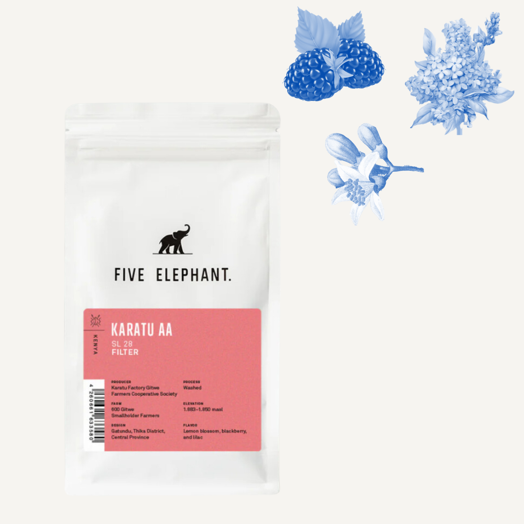 KENYA Karatu AA – Café filtre