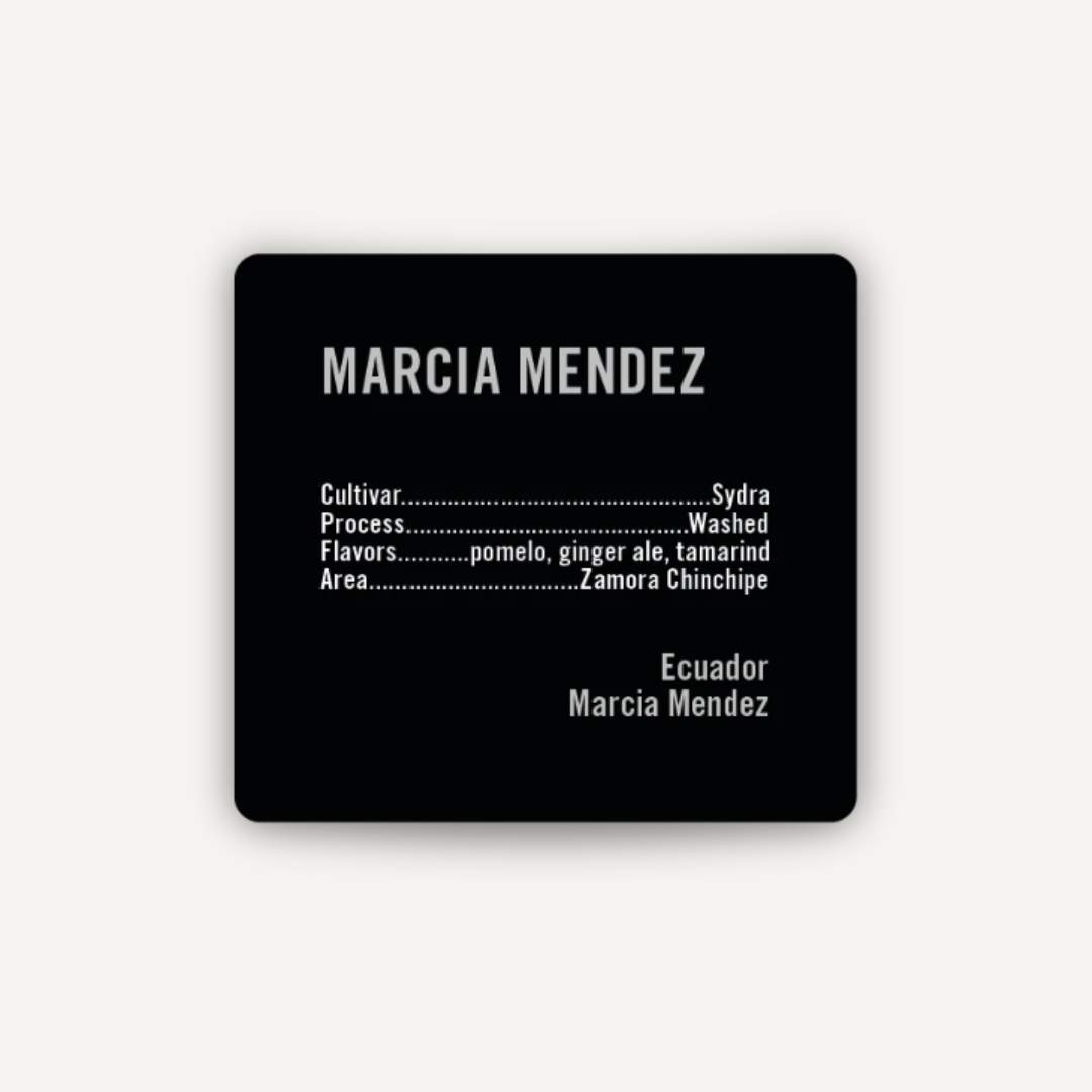 Marcia Mendez, Équateur - espresso & filtre