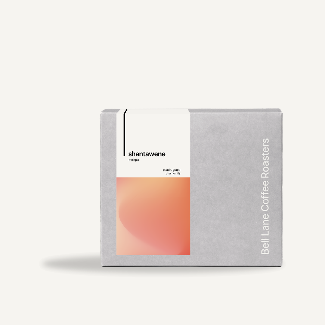 Shantawene, Éthiopie - espresso & filtre