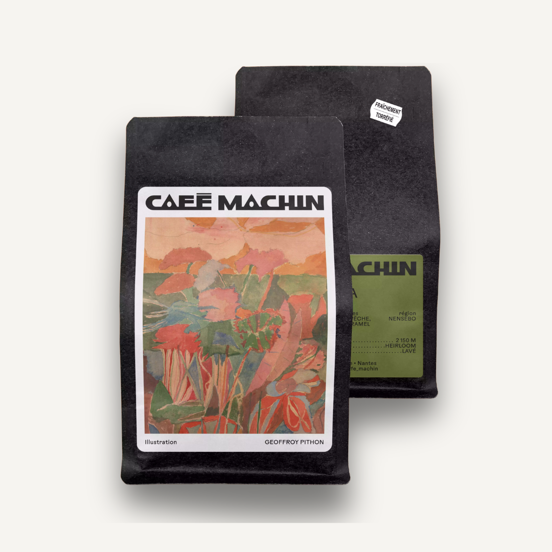 Refisa, Éthiopie - espresso & filtre