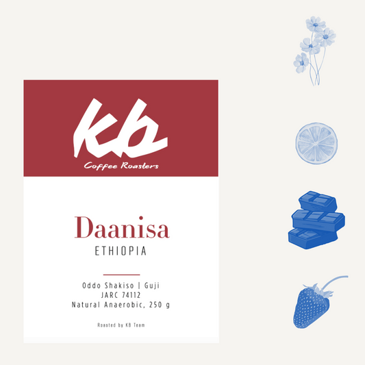 Daanisa, Ethiopie - filtre