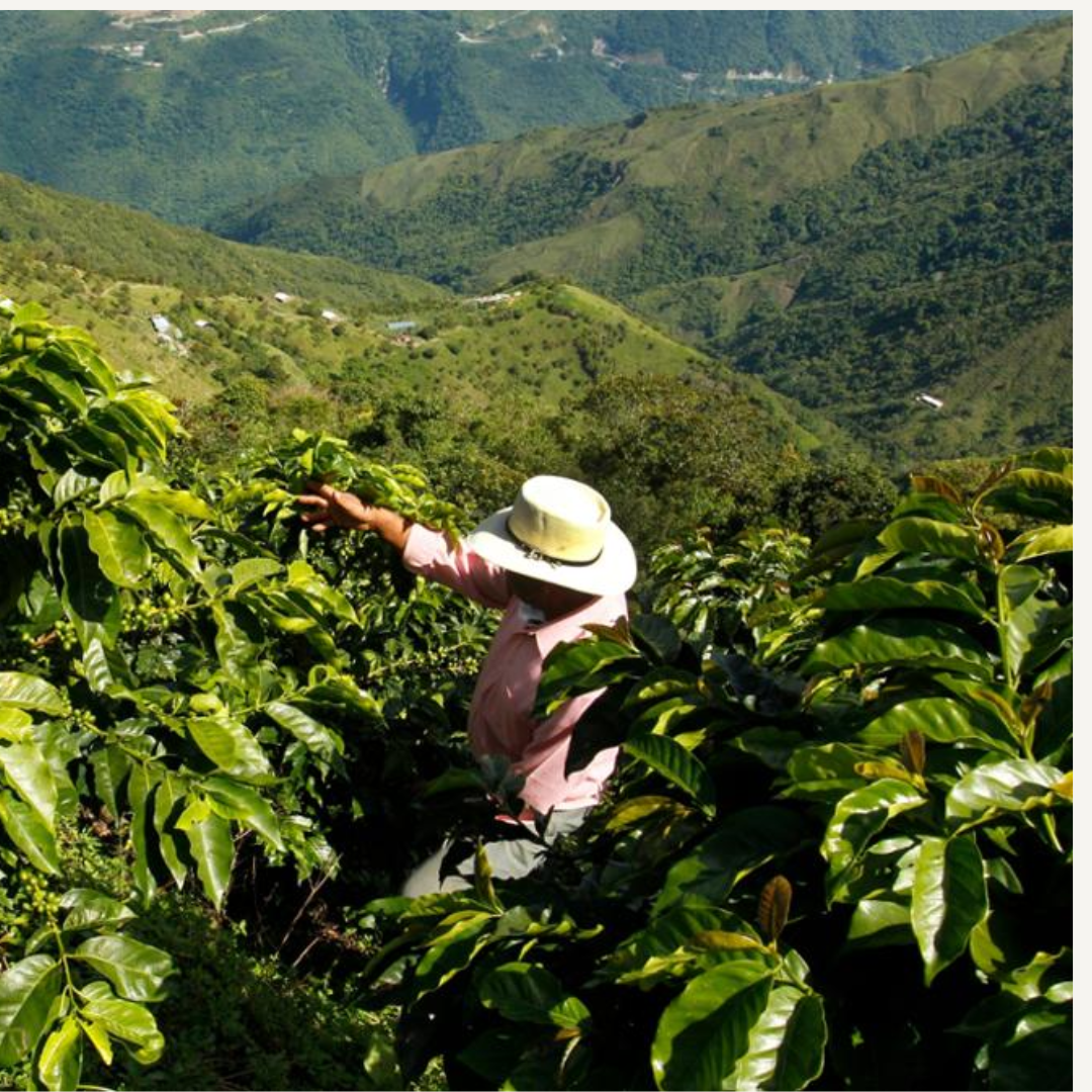 Fazenda Esperanca - Filtre