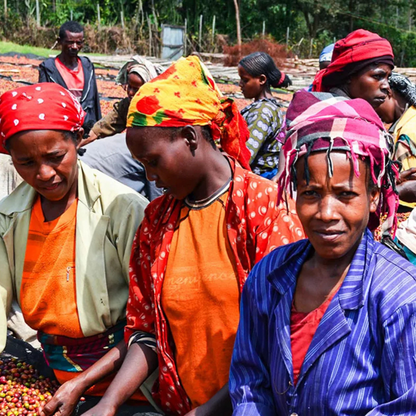 ETHIOPIA Biftu Gudina Bio – Café espresso