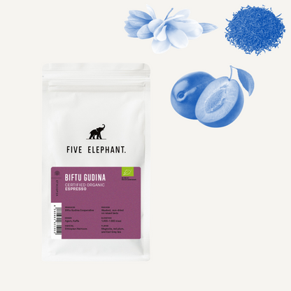 ETHIOPIA Biftu Gudina Bio – Café espresso