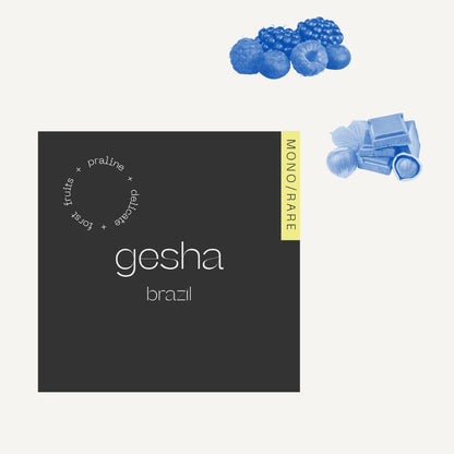 Gesha Brazil -  Filtre