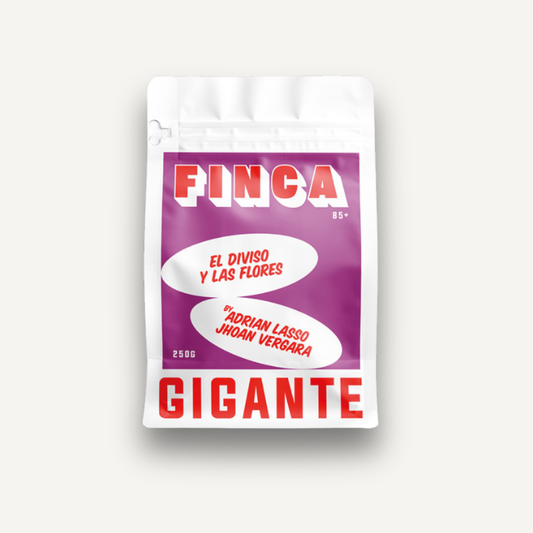 El Morado, Colombie - espresso & filtre