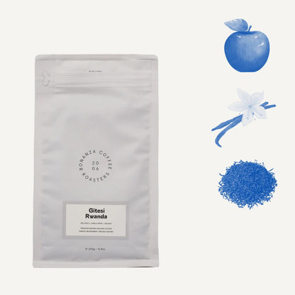 Gitesi, Rwanda - filtre & espresso