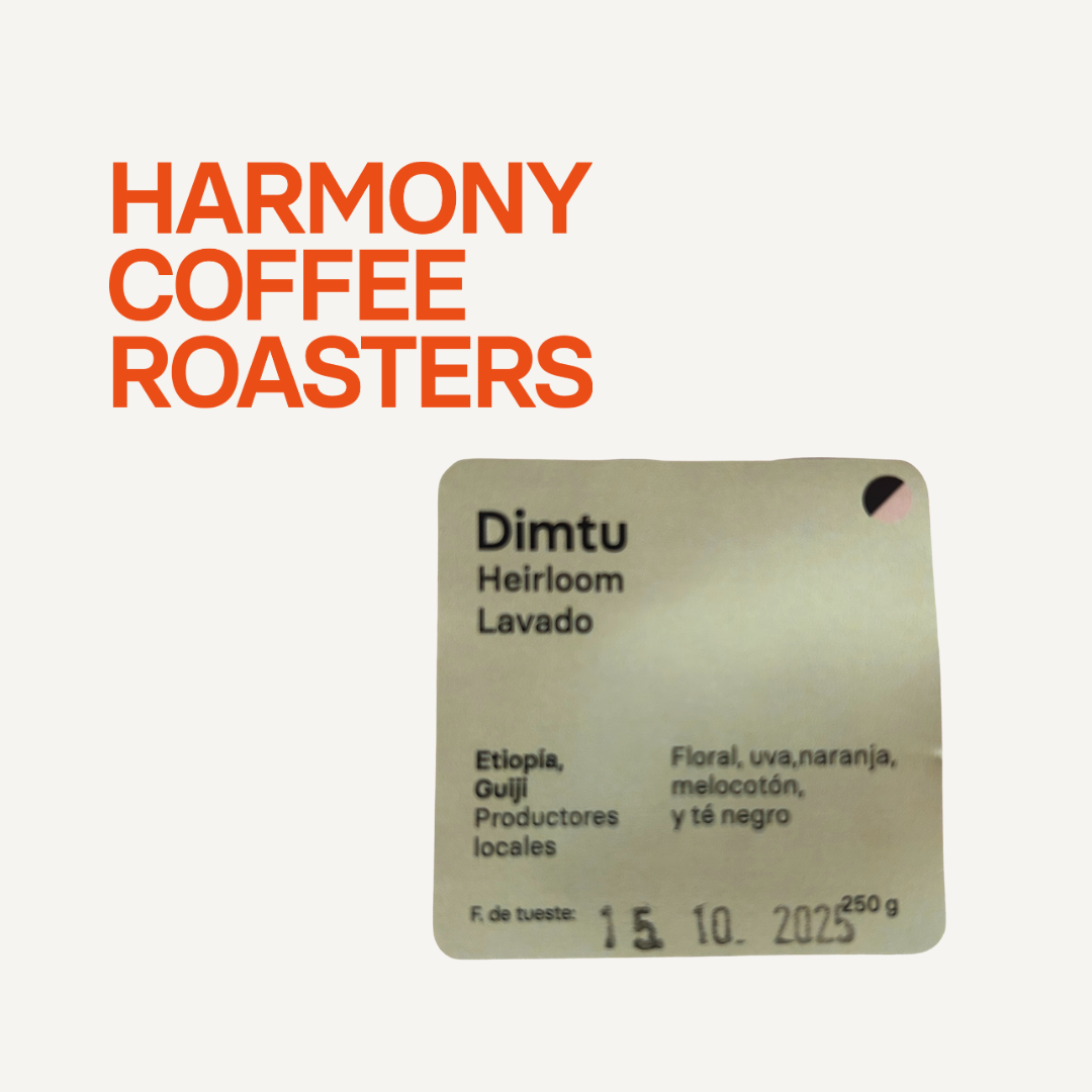 Dimtu, Éthiopie - espresso & filtre