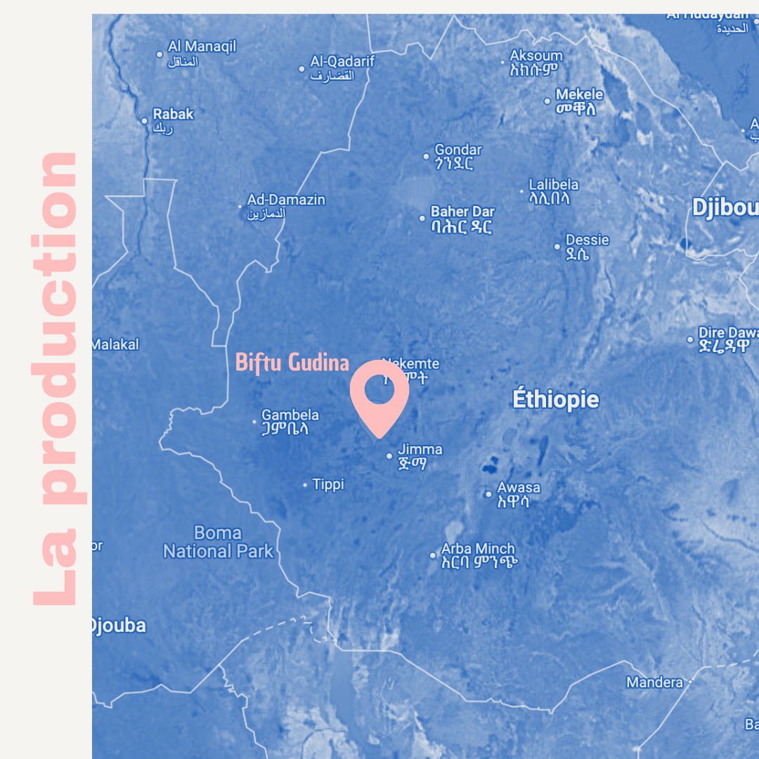 ETHIOPIA Biftu Gudina Bio – Café espresso