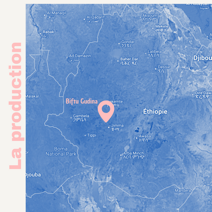 ETHIOPIA Biftu Gudina Bio – Café espresso