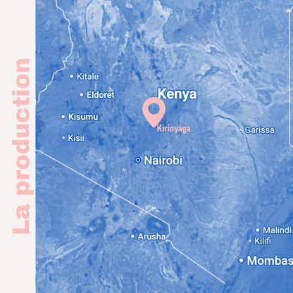 AB Ngariama Kenya - Café filtre