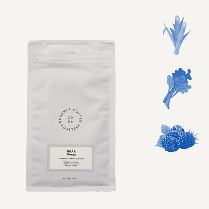 Kii AA, Kenya - filtre & espresso