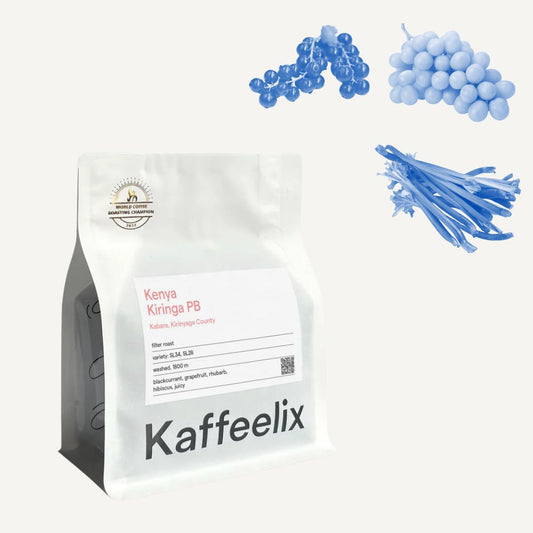 Kiringa PB - Filtre