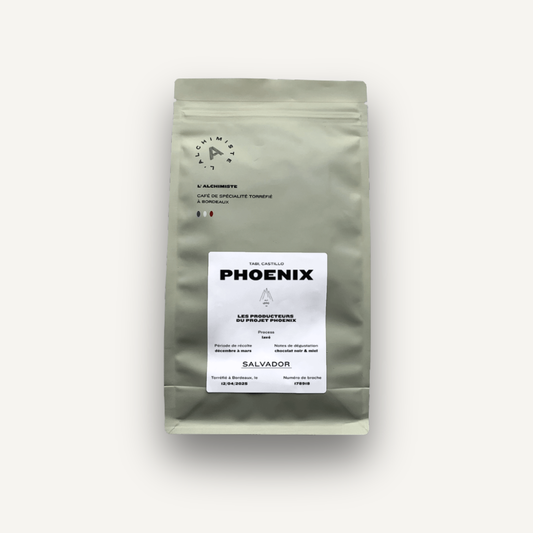 Phoenix Bio, Salvador - espresso & filtre