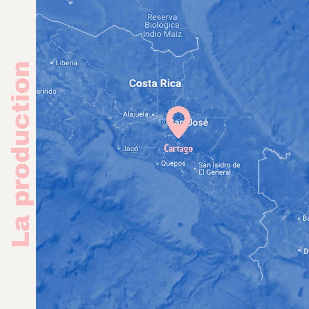 Los Campos - Espresso & filtre