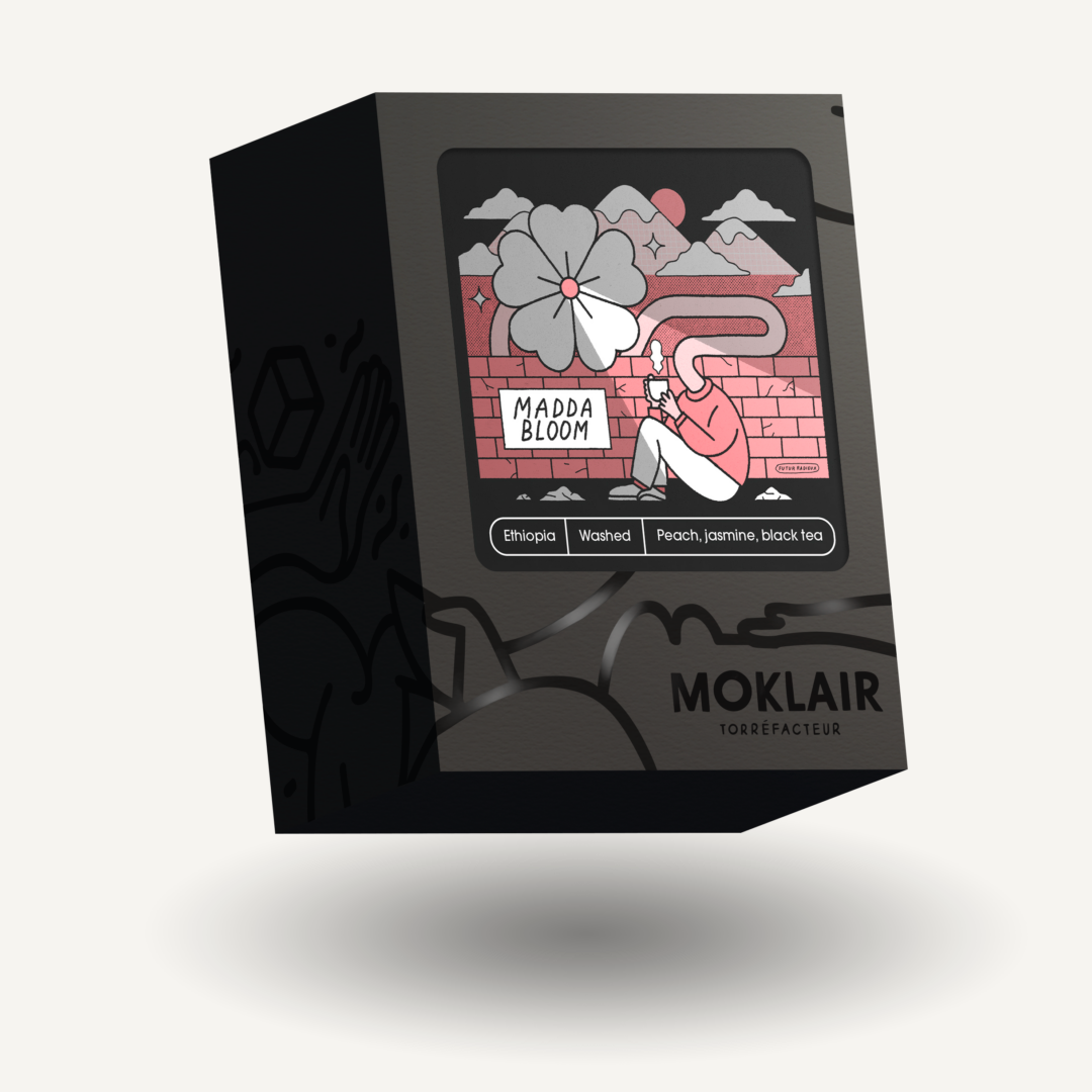 Madda Bloom, Éthiopie - espresso & filtre