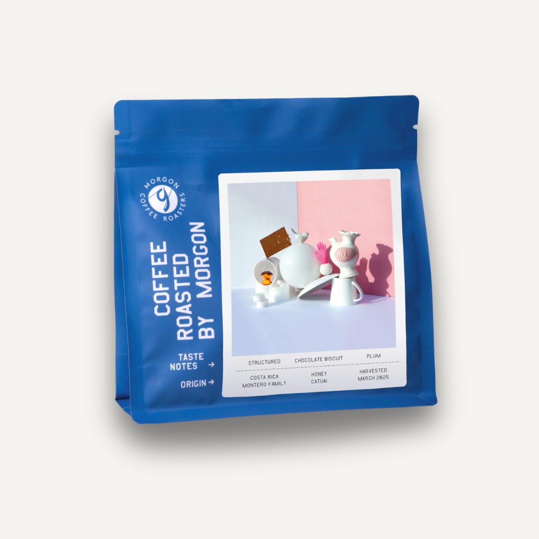 Montero Family, Costa Rica - filtre