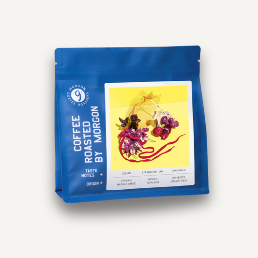 Wachile Garse, Éthiopie - espresso