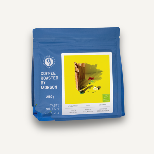 Chelbesa Bio, Éthiopie - filtre