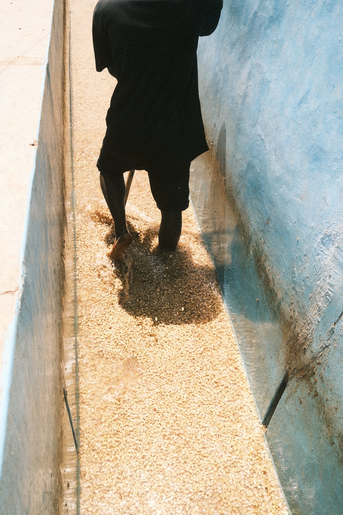 Dahwe, Rwanda - espresso & filtre