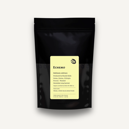 Echemo, Éthiopie - espresso