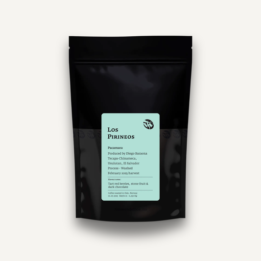 Los Pirineos, Salvador - filtre