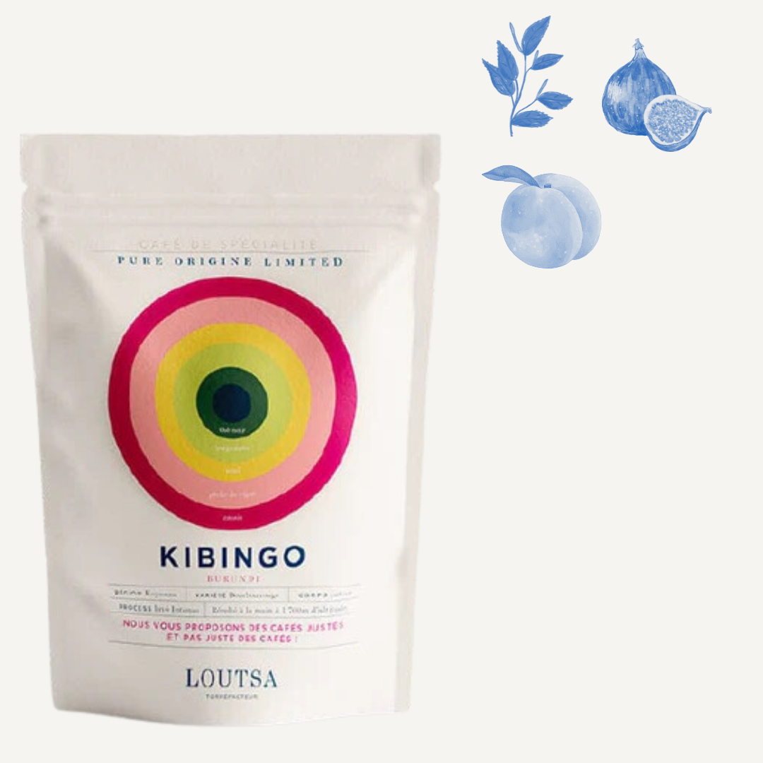 Kinbingo Limited - Café filtre & espresso